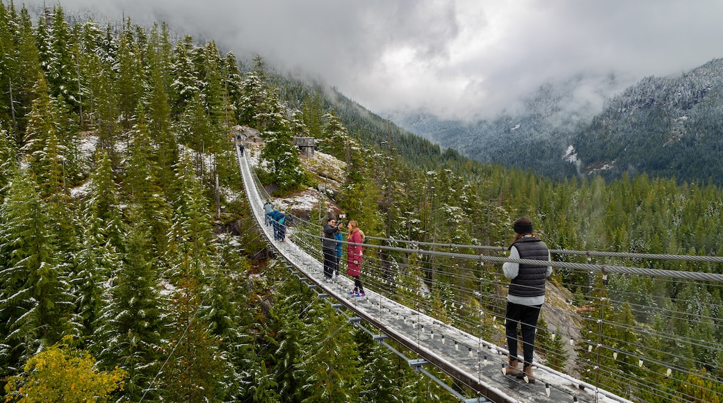 Squamish which includes a suspension bridge or treetop walkway, landscape views and tranquil scenes