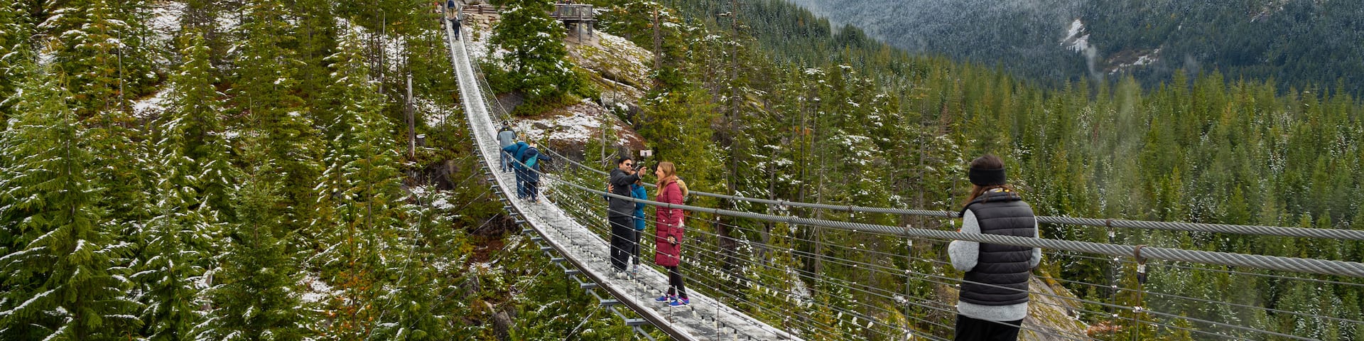 Squamish which includes a suspension bridge or treetop walkway, landscape views and tranquil scenes
