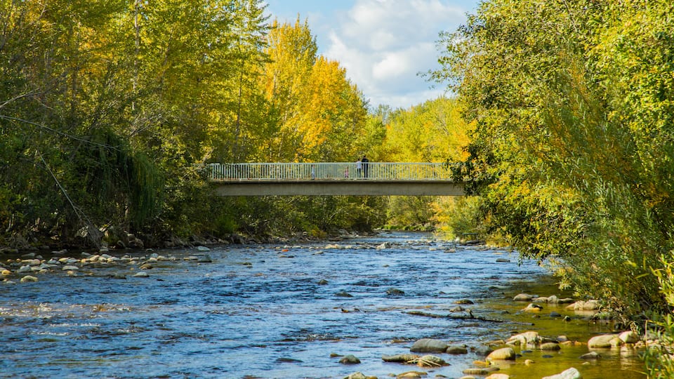 Mission Creek Regional Park showing a river or creek and a bridge as well as a couple