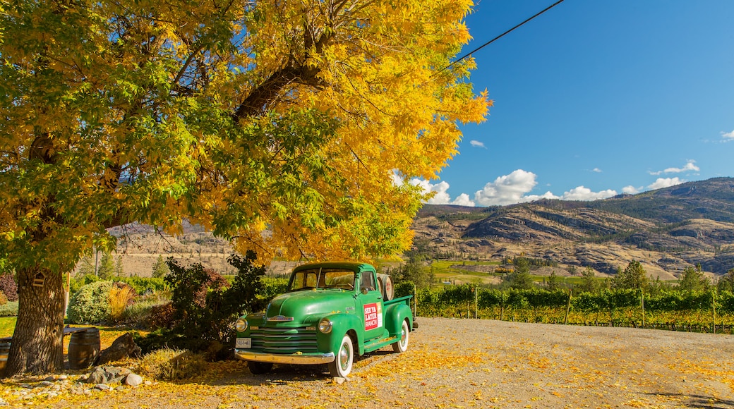 Regional District of Okanagan-Similkameen