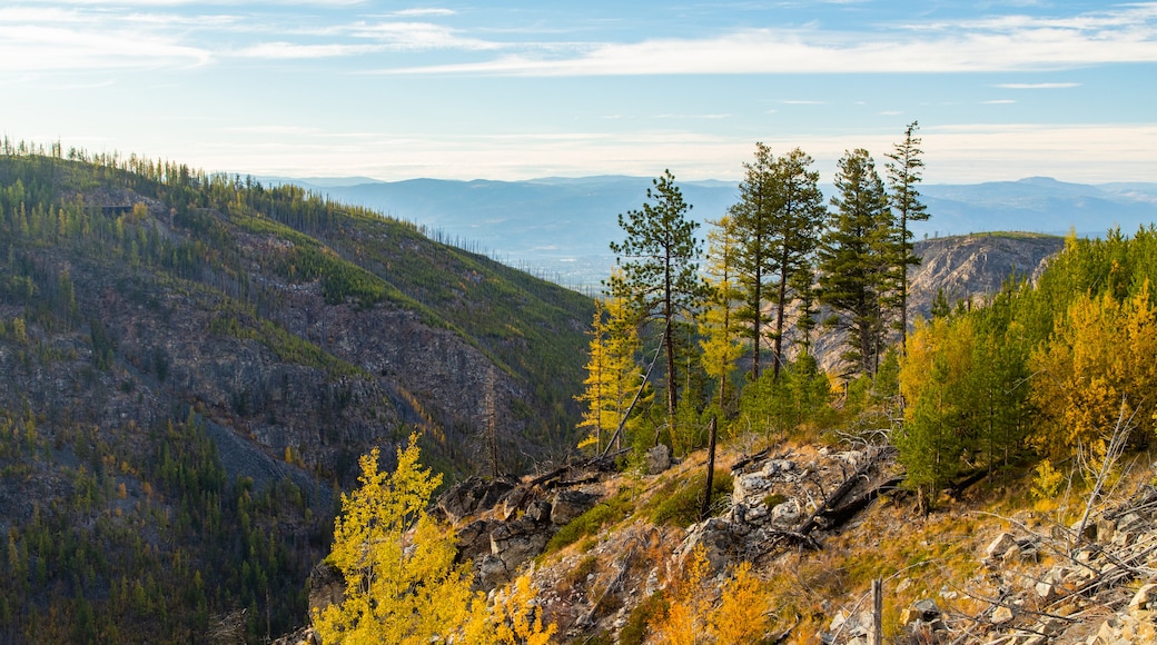 Myra-Bellevue Provincial Park showing a sunset, tranquil scenes and mountains