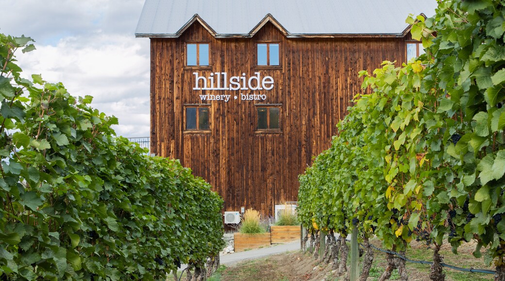 Hillside Estate Winery