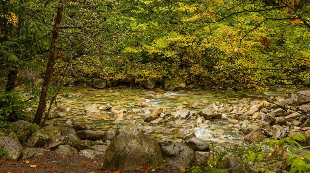 Parque provincial Shannon Falls