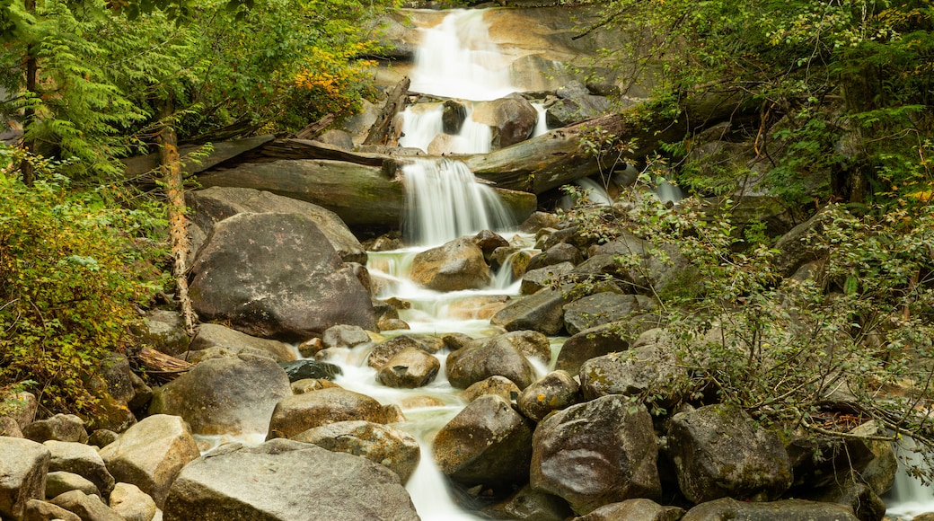 Shannon Falls Provincial Park