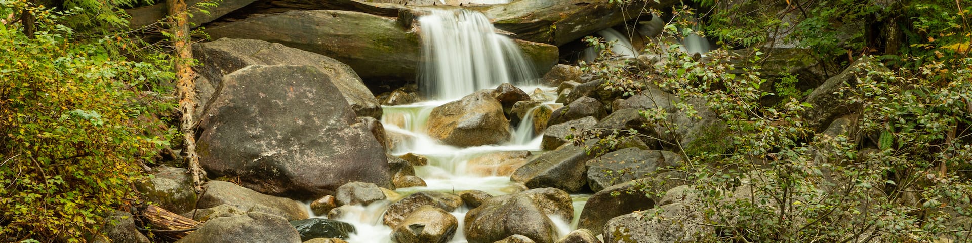 Shannon Falls Provincial Park which includes a river or creek