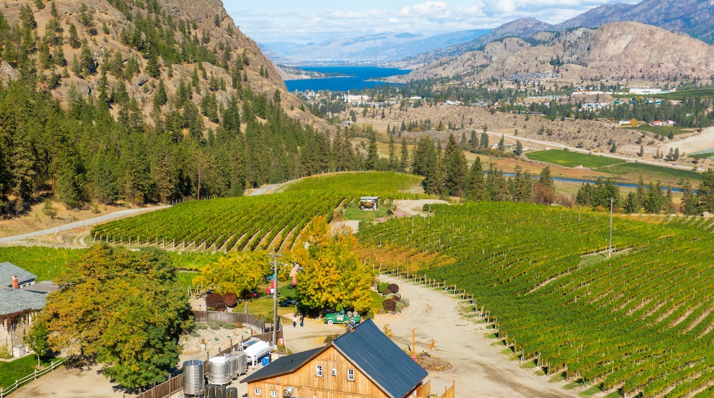 Okanagan Falls
