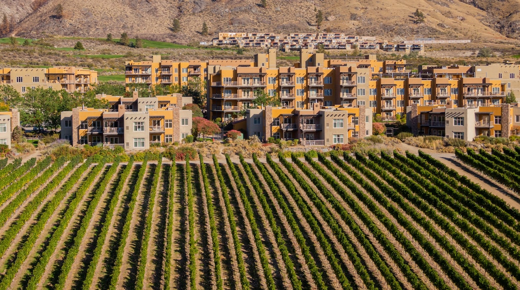 Nk\'Mip Cellars showing farmland and landscape views