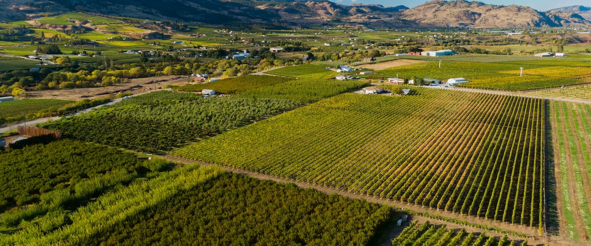 Oliver featuring landscape views, farmland and tranquil scenes