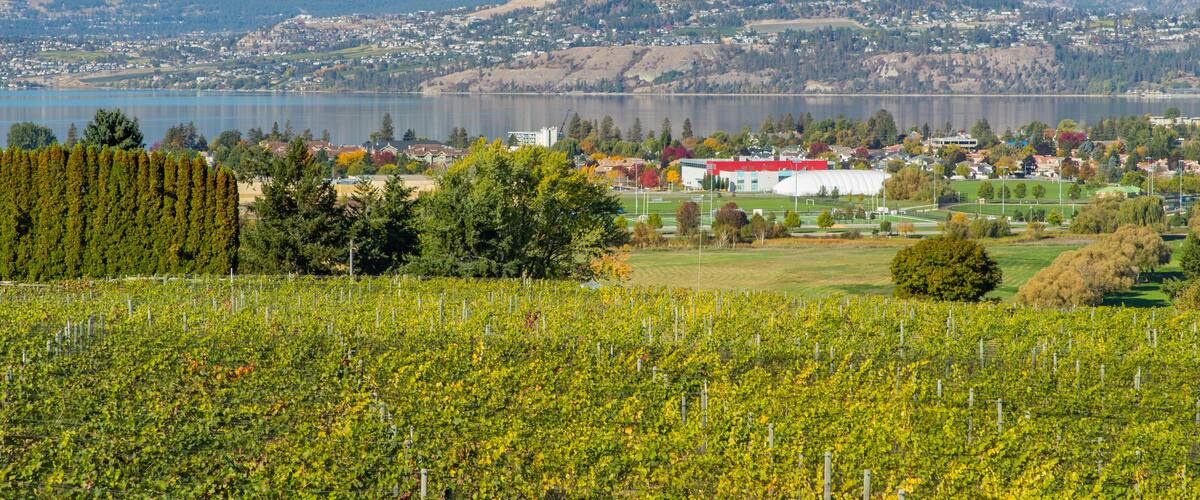 Tantalus Vineyards which includes a lake or waterhole, a small town or village and tranquil scenes