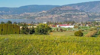 Tantalus Vineyards which includes a lake or waterhole, a small town or village and tranquil scenes