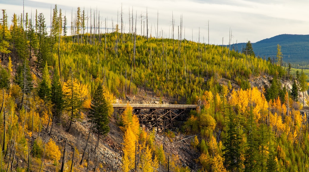 Myra-Bellevue Provincial Park which includes tranquil scenes and a bridge