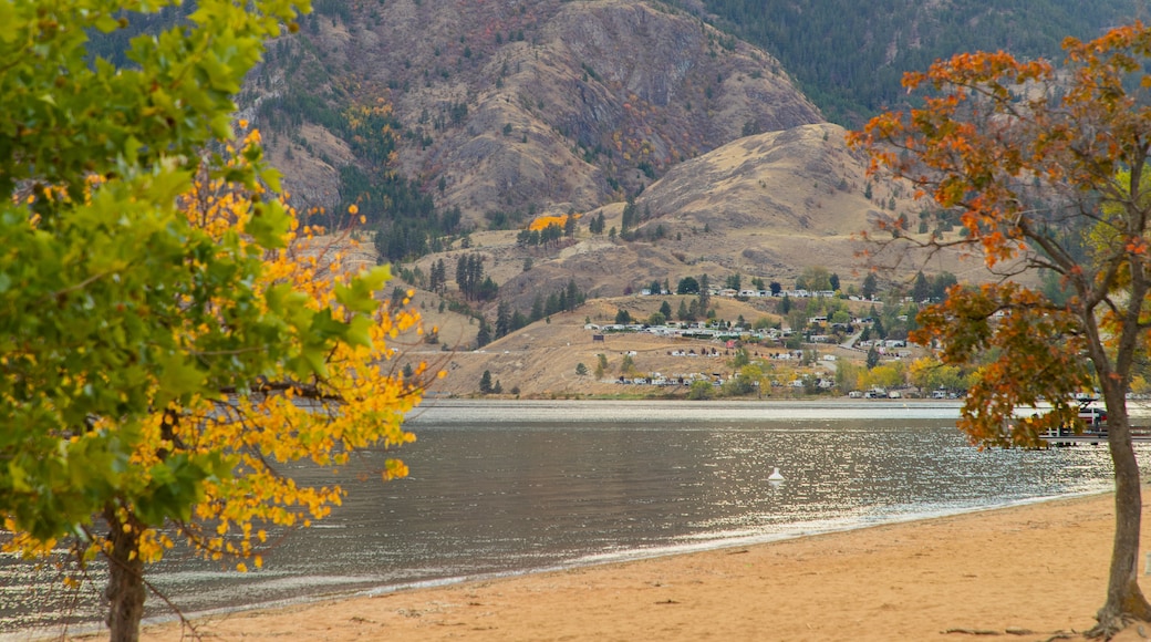 Skaha Beach showing general coastal views and a sandy beach