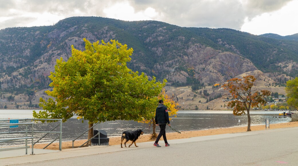 Skaha Beach showing cuddly or friendly animals and general coastal views as well as an individual male