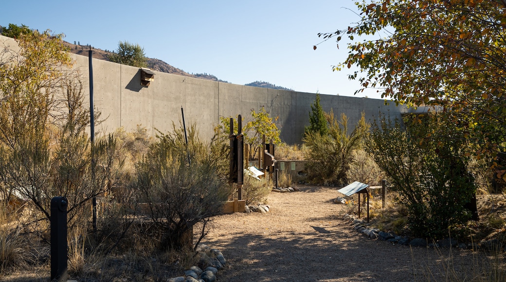 Nk\'Mip Desert Cultural Centre showing a garden