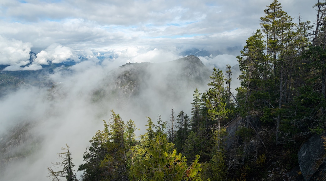 Stawamus Chief Provincial Park
