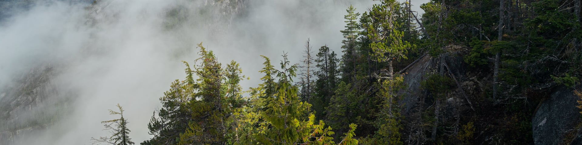 Stawamus Chief Provincial Park featuring landscape views, mist or fog and mountains