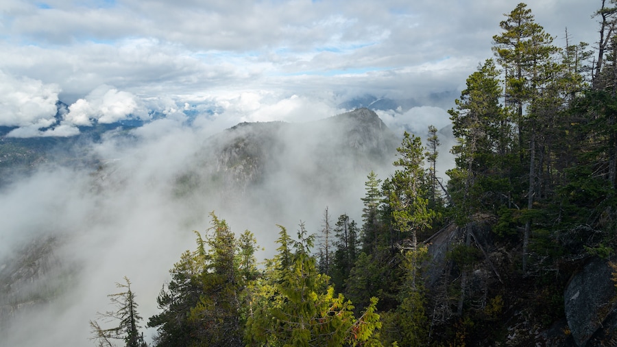 Công viên địa phương Stawamus Chief