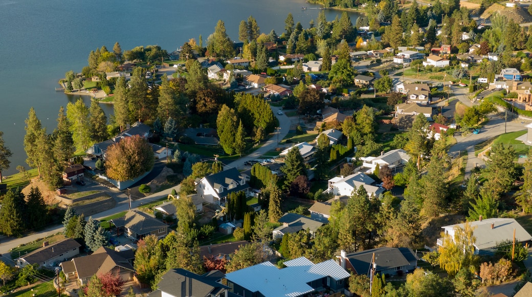 Skaha Lake showing landscape views and a small town or village