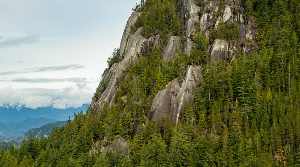 สวนประจําจังหวัด Stawamus Chief