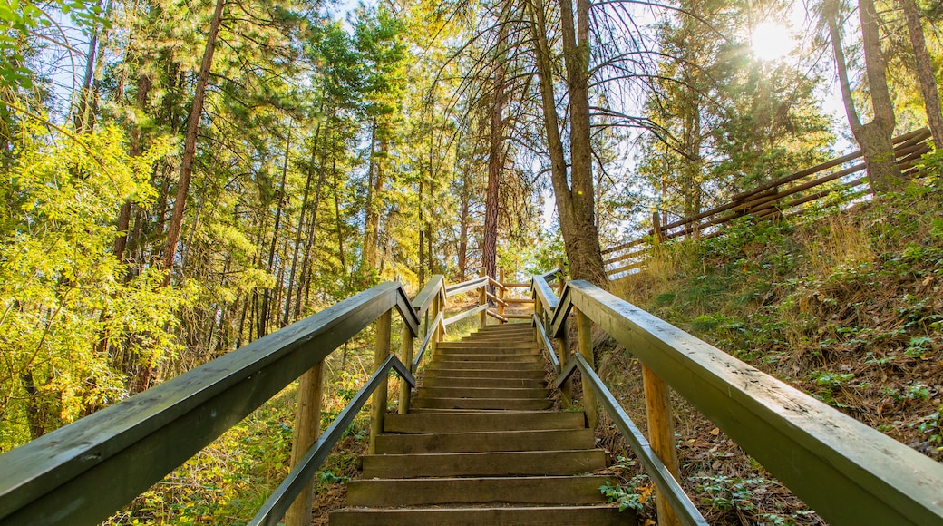 Mission Creek Regional Park