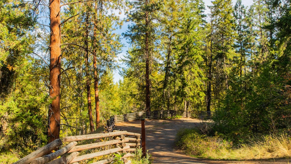 Mission Creek Regional Park featuring a park and forest scenes