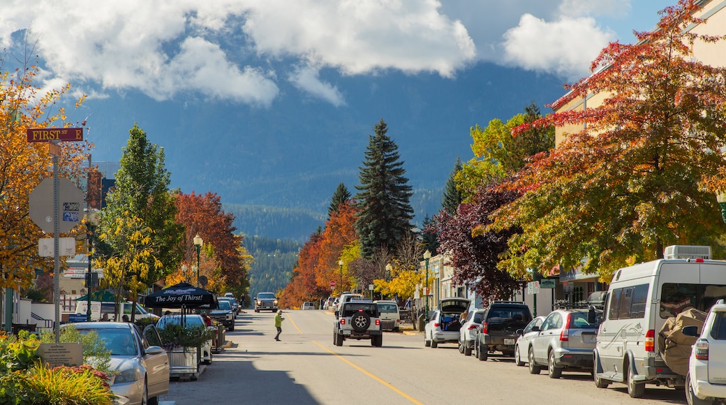 Distrito regional de Columbia-Shuswap