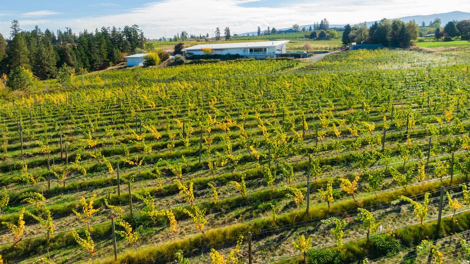 Tantalus Vineyards showing farmland