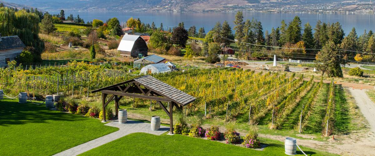 Summerhill Pyramid Winery which includes farmland, landscape views and a lake or waterhole