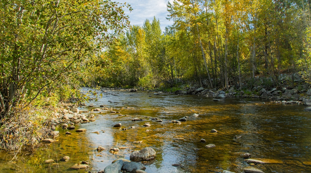 Mission Creek Regional Park