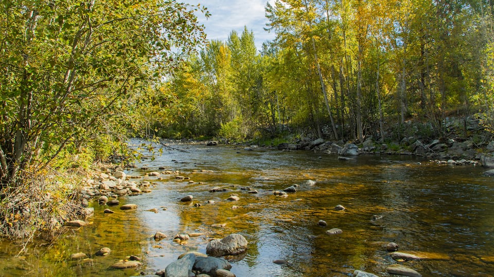 Mission Creek Regional Park featuring a river or creek