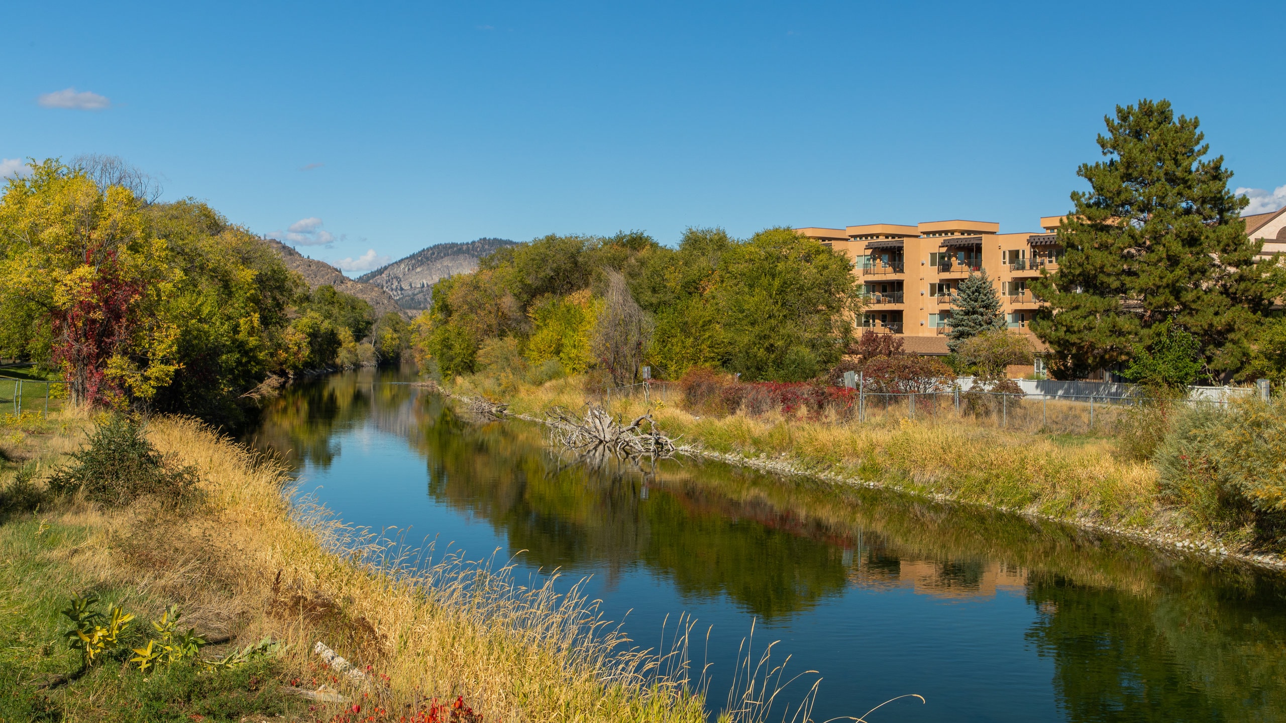 Top 20 Oliver, BC condo and apartment rentals to rent Vrbo