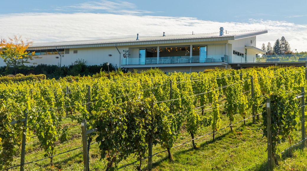 Tantalus Vineyards