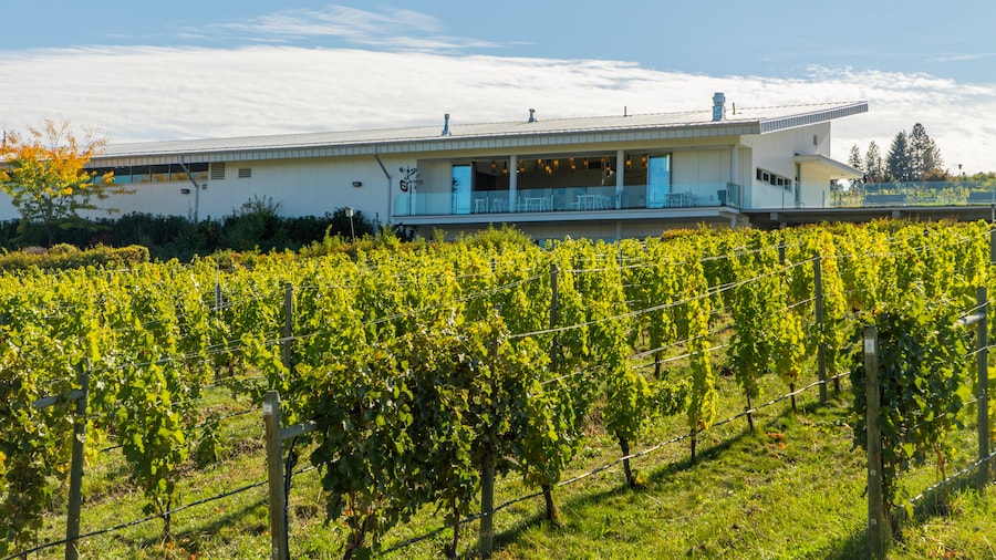 Tantalus Vineyards