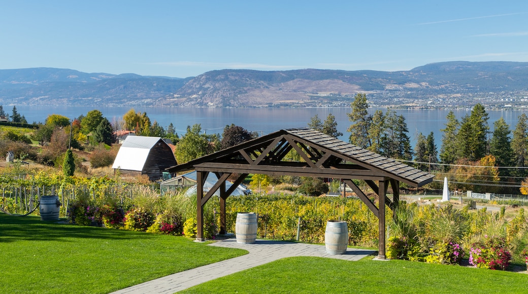 Summerhill Pyramid Winery featuring a park and farmland