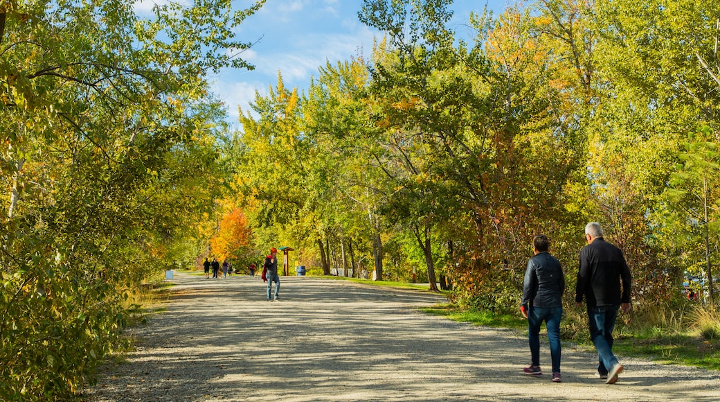 梅桑河區域公園