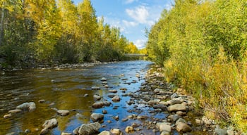 Mission Creek Regional Park which includes a river or creek