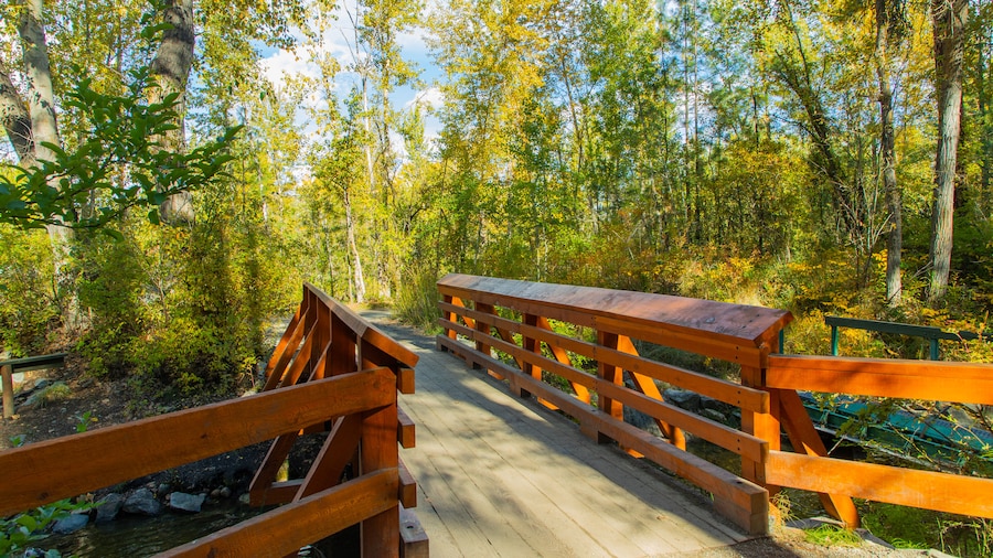 Mission Creek Regional Park (米逊溪地区公园)