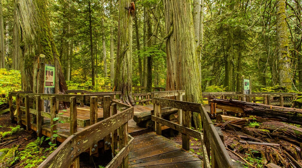 Distrito regional de Columbia-Shuswap