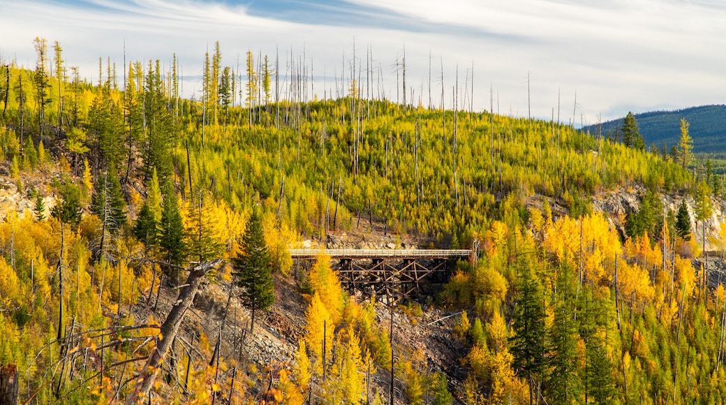 Myra-Bellevue Provincial Park showing tranquil scenes