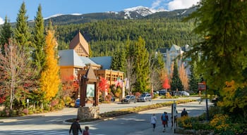 Upper Village showing landscape views and a small town or village