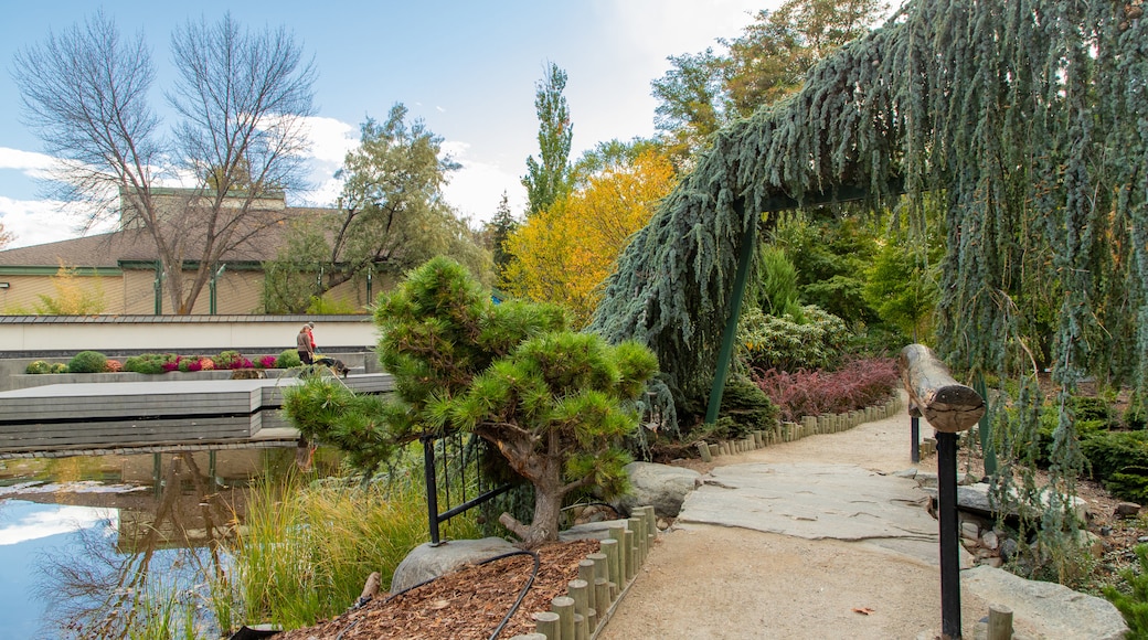 Penticton Ikeda Japanese Garden