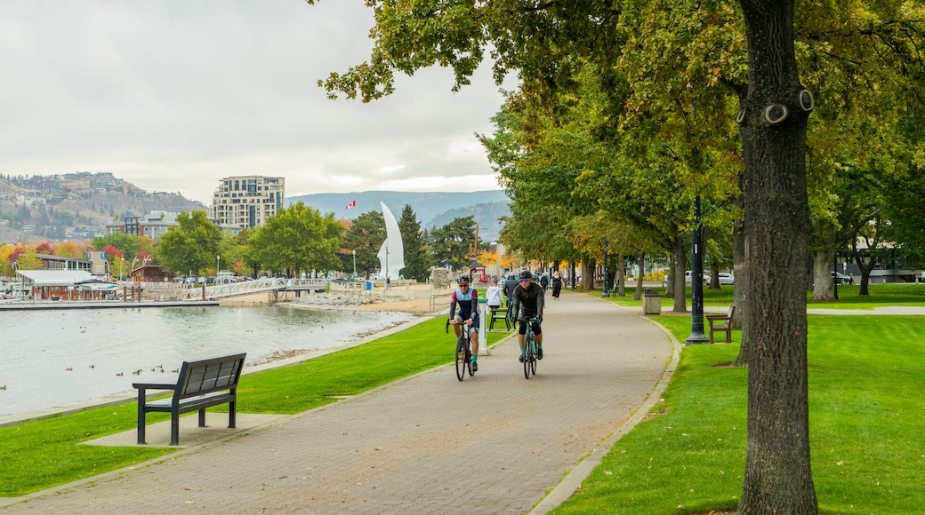 City Park showing a high rise building and cycling as well as a couple