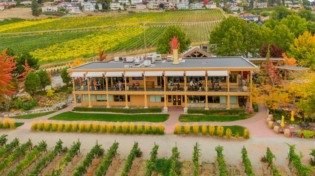 Quails\' Gate Estate Winery featuring landscape views and farmland