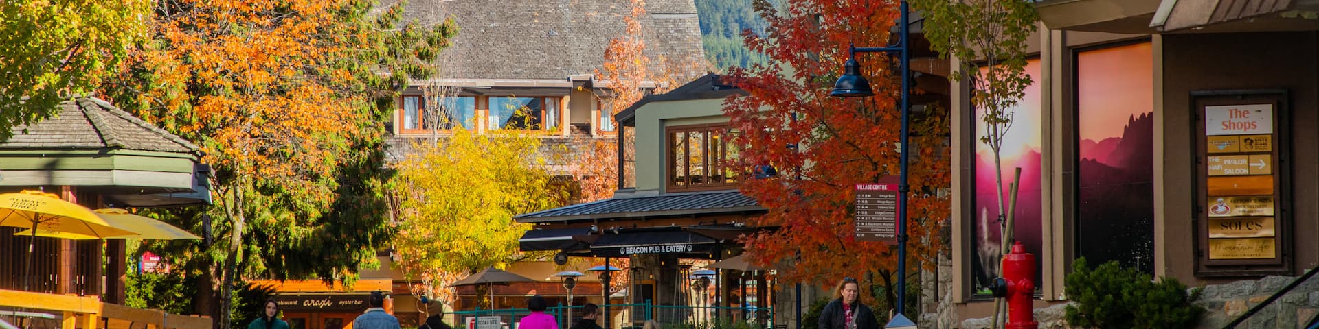 Whistler Village Stroll featuring street scenes