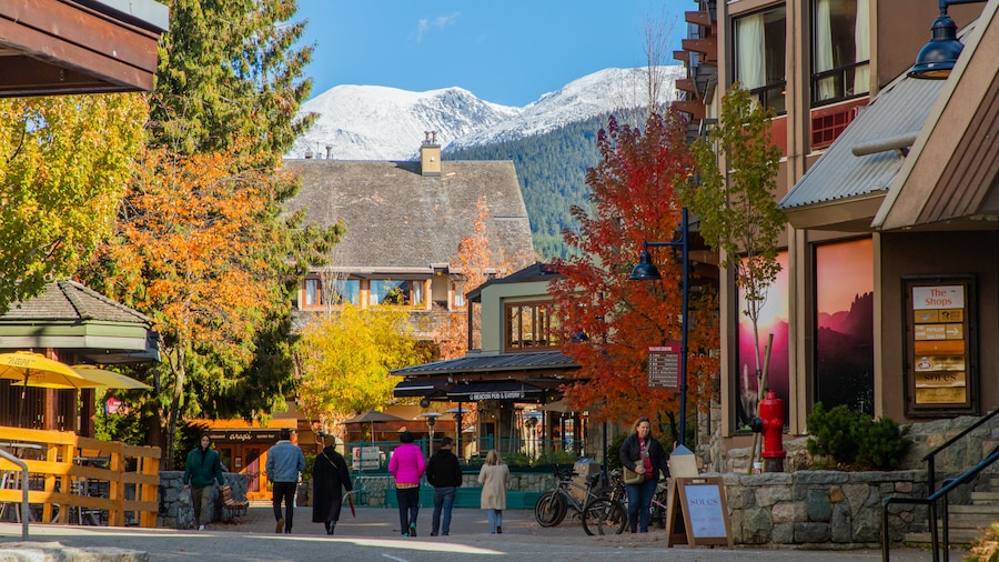 Whistler Village Stroll featuring street scenes