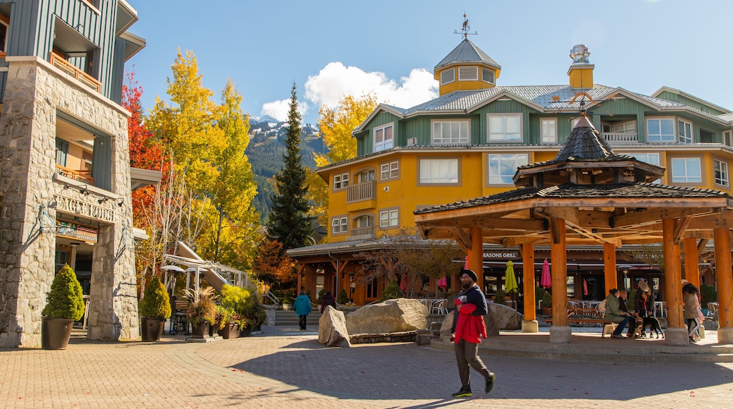 Whistler Village Stroll which includes street scenes as well as an individual male