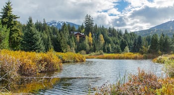 Whistler Golf Club featuring a river or creek