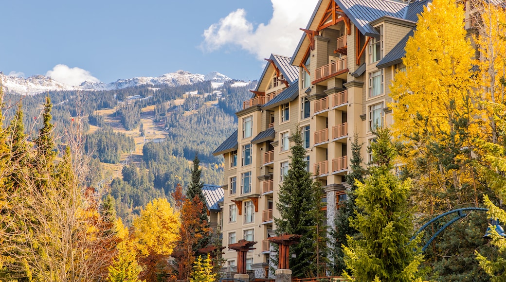 Whistler Village Stroll