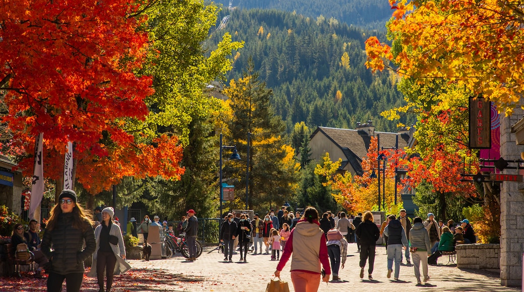 Área comercial Whistler Village Stroll