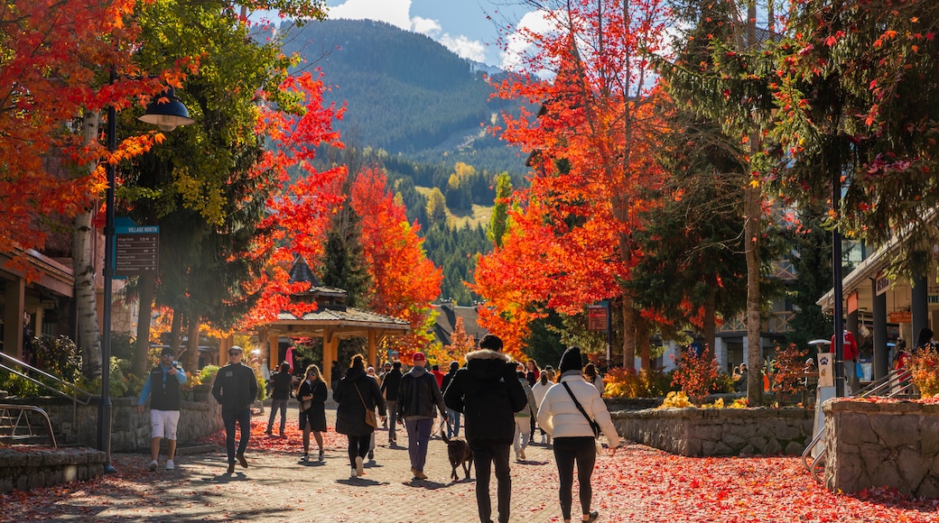 Whistler Village Stroll which includes fall colors and street scenes as well as a couple